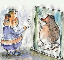 ˫���Ķ���������ѧ��������ʶ