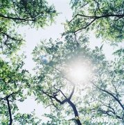 �����һ��(A Lesson of Life)