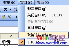 ������WPS���������ɹ̶�ָ�����к���