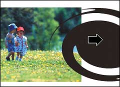 CorelDraw�̳�:���ʹ���ɰ弼��